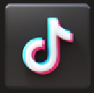 TikTok Icon